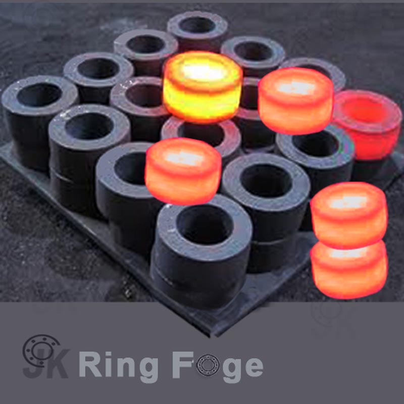 Forged Seamless Rolled Ring Manufacturers