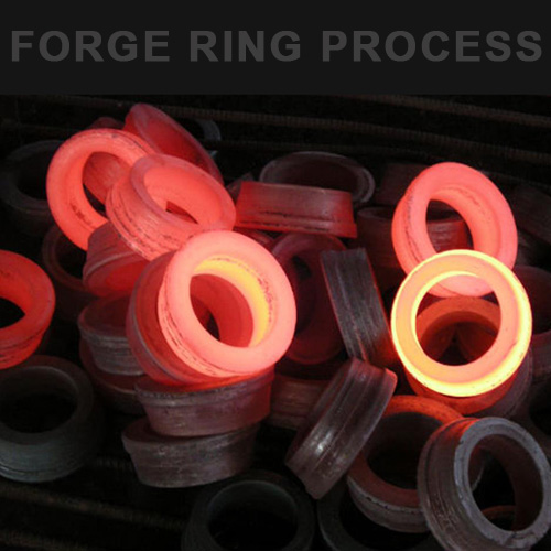 Forged Steel Bearing Ring